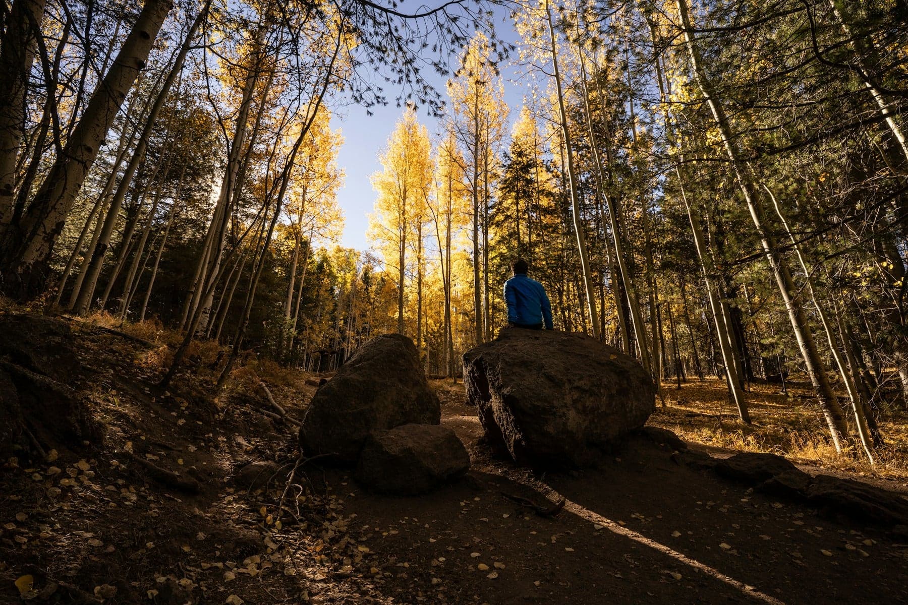 Couple hiking on a forested mountain trail
