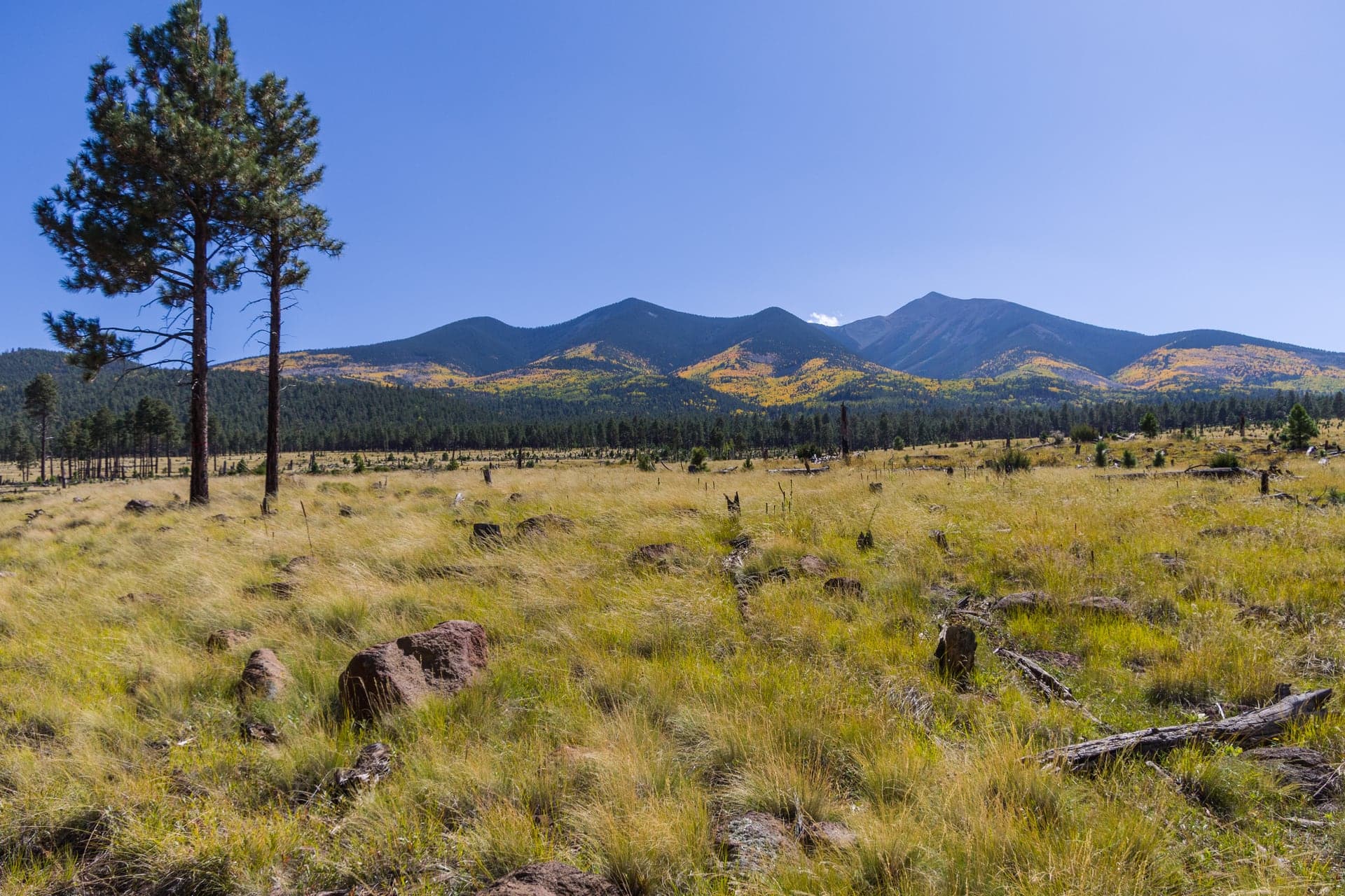 Mountain-town landscape representing the Flagstaff lifestyle