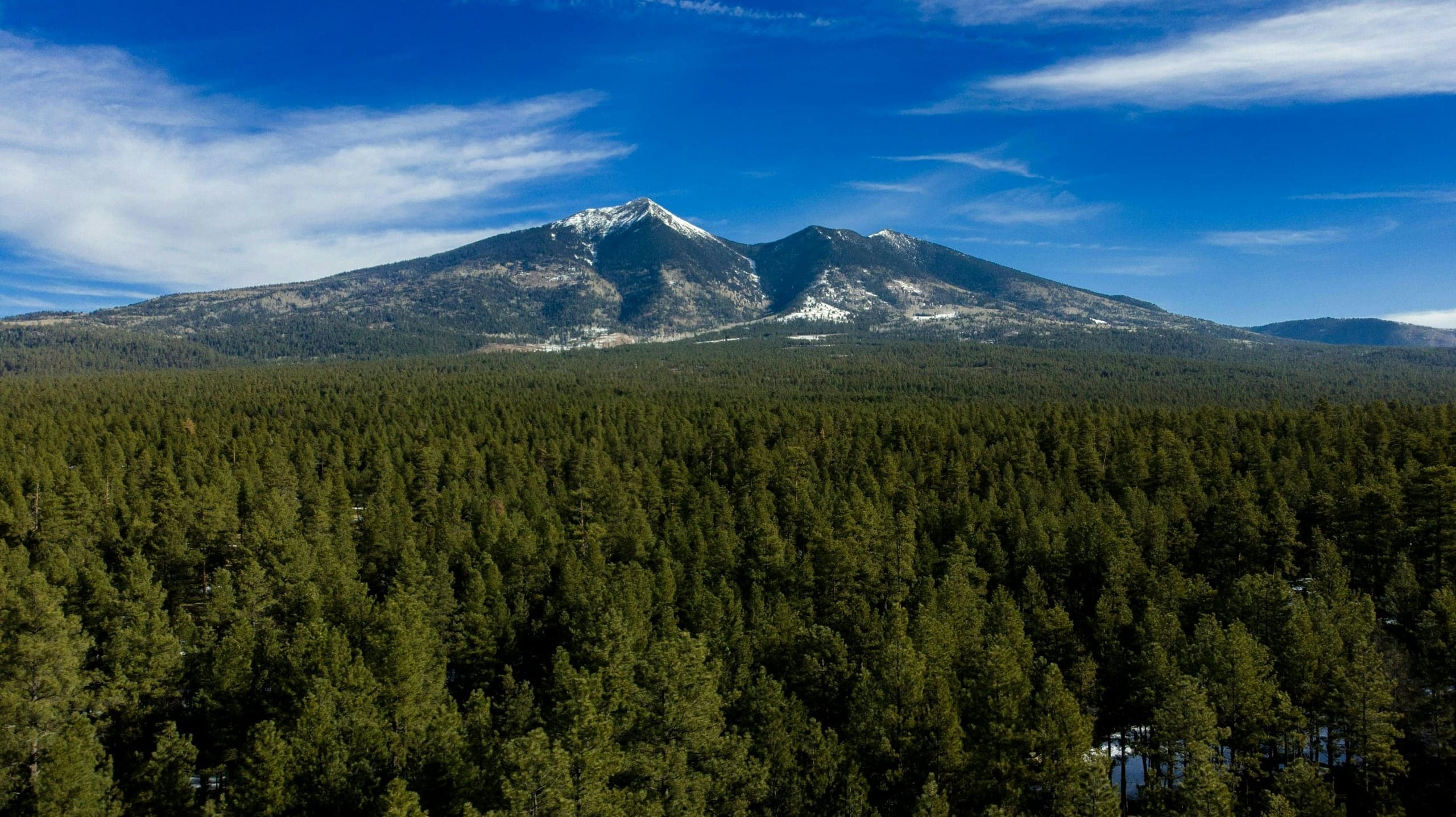 The snow-capped San Francisco Peaks rising above the ponderosa pine forest near Flagstaff, Arizona