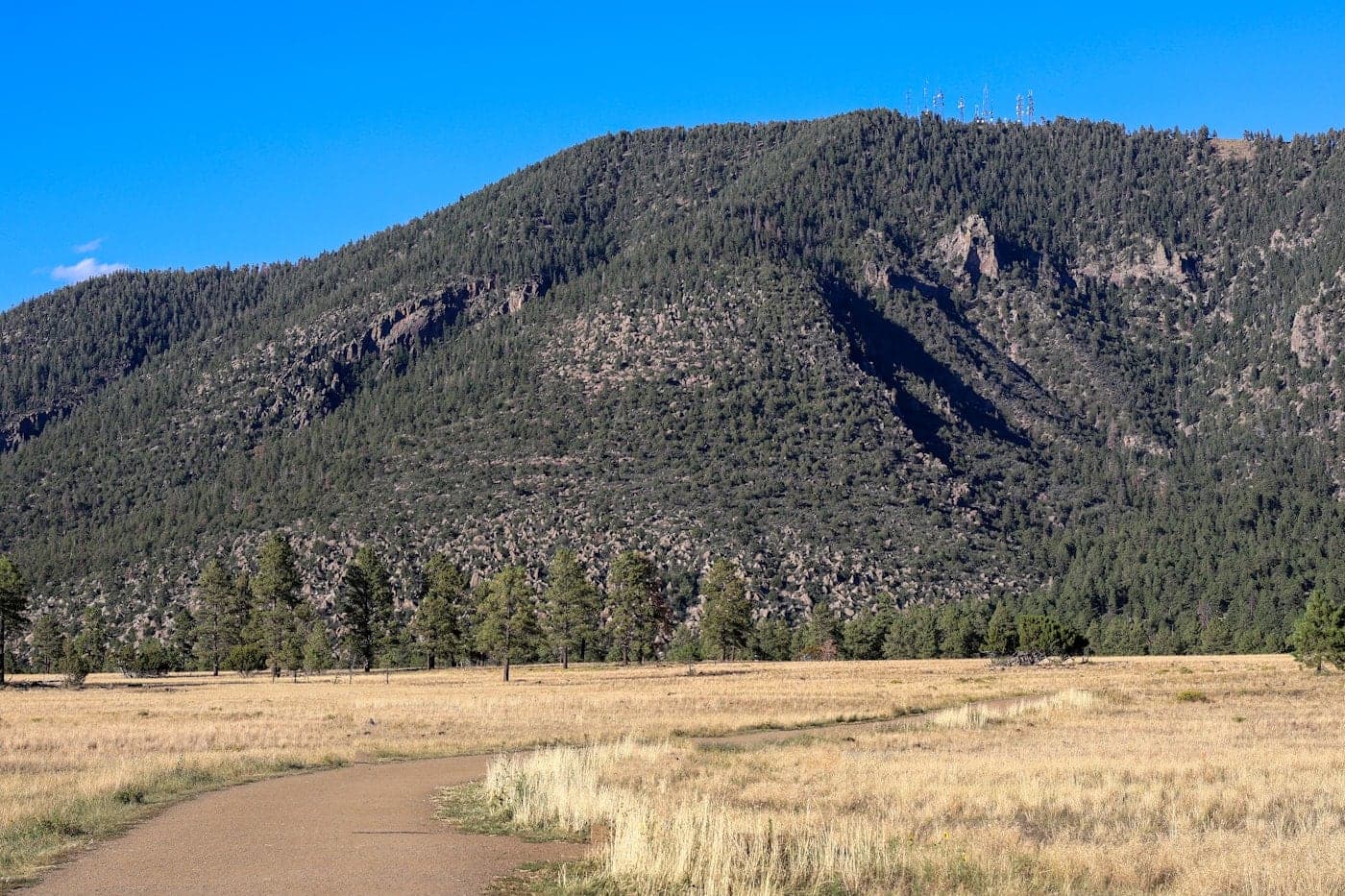 A Flagstaff urban trail through ponderosa forest toward Mount Elden